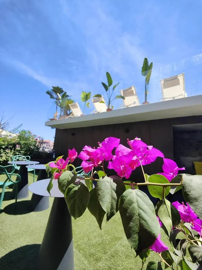Luxury B&B Euphorbia Acireale