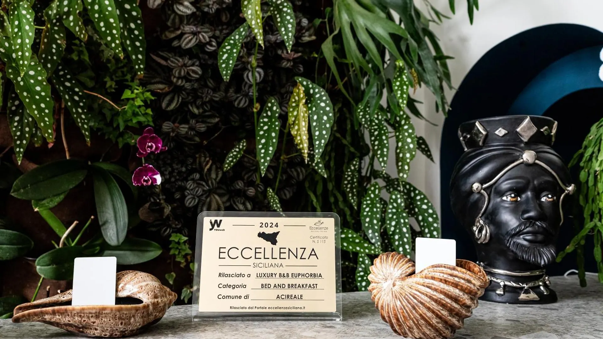 Bed & Breakfast Luxury B&B Euphorbia Acireale